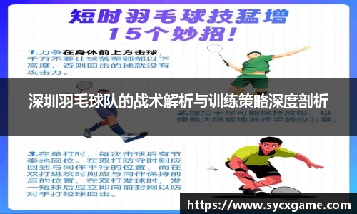 深圳羽毛球队的战术解析与训练策略深度剖析