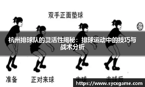 杭州排球队的灵活性揭秘：排球运动中的技巧与战术分析